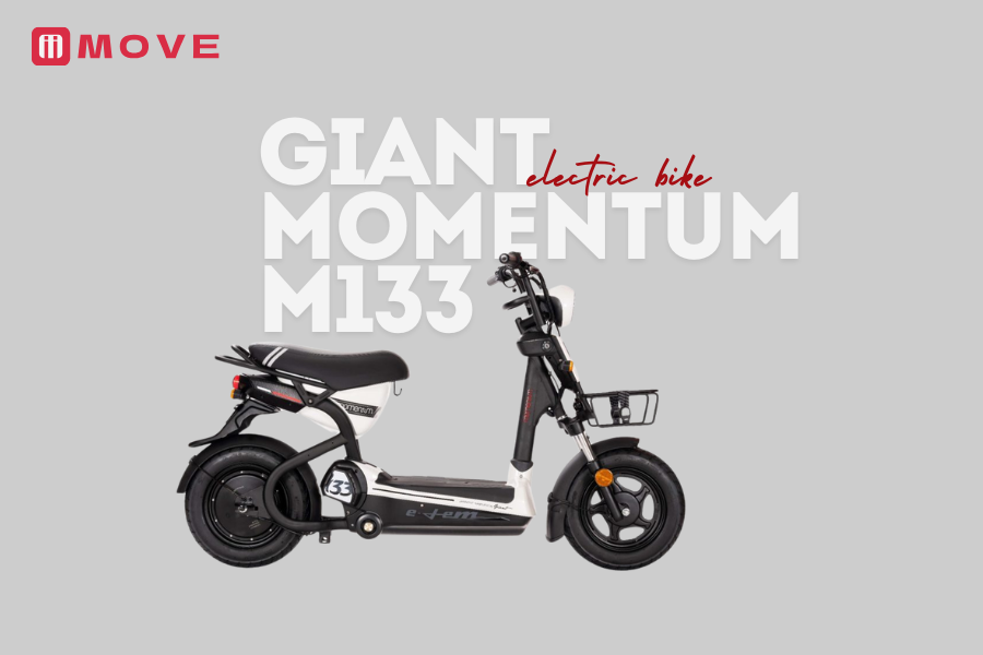Mẫu xe đạp điện 15 triệu Giant Momentum M133
